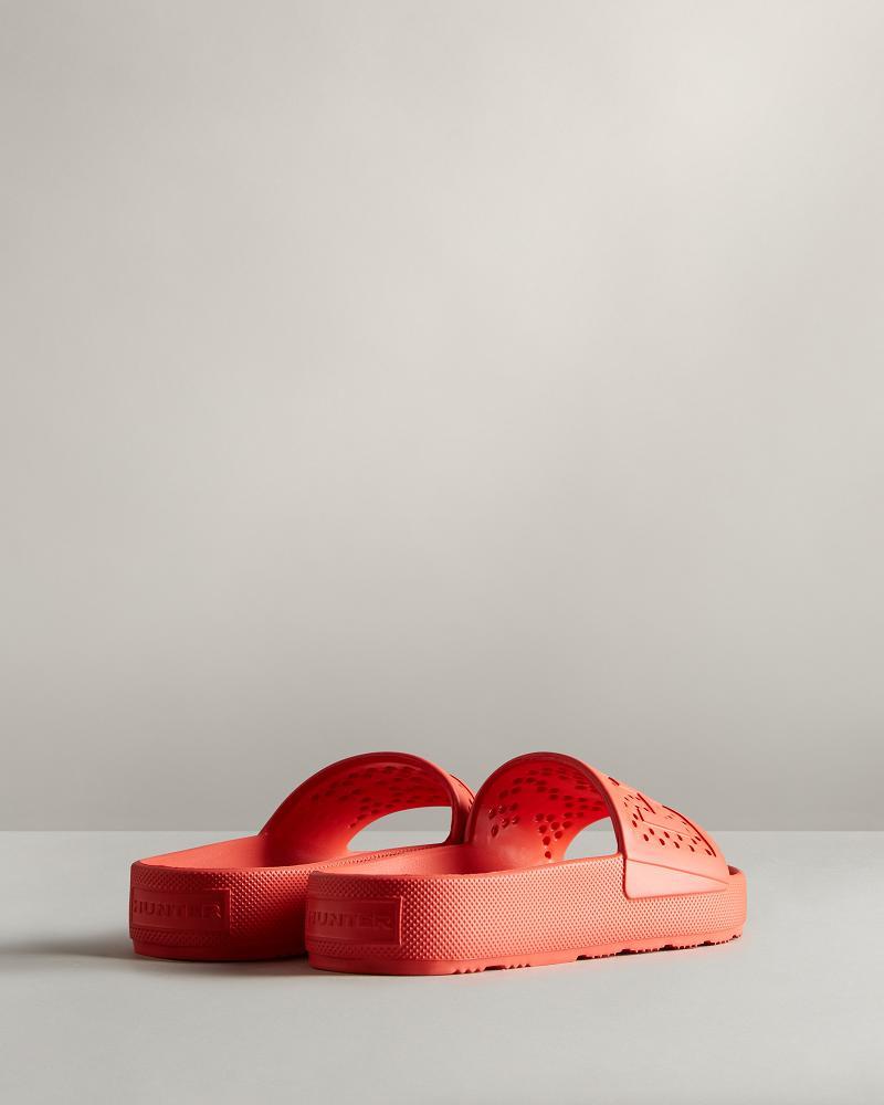 Sandal Hunter Legere Moulded  Homme | FSL-8995375